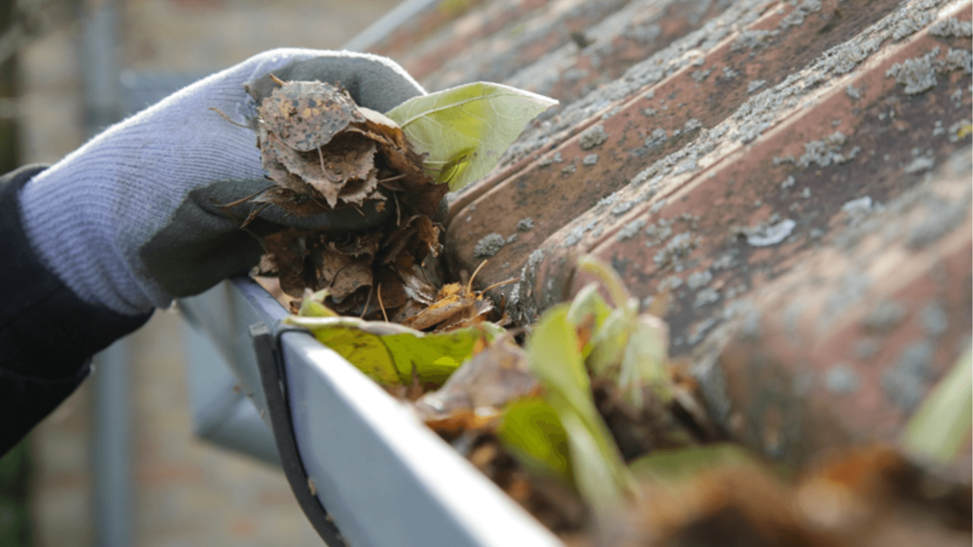 Survey shock: how to protect your autumn and winter property purchase