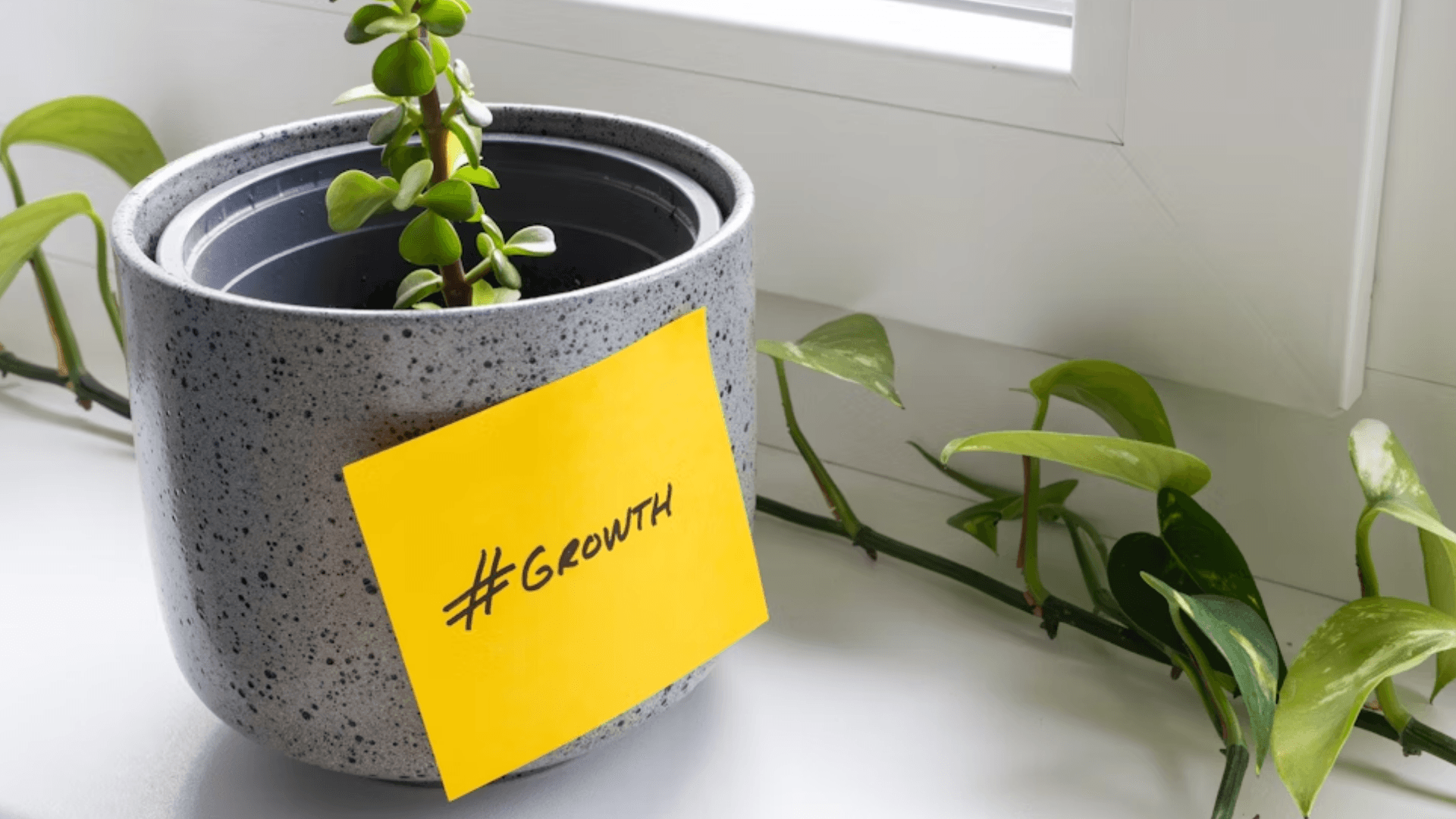 The Rise of the New-Age Landlord