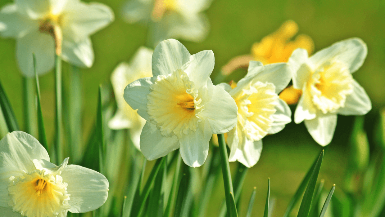 Your rights and responsibilities this spring: A tenant update