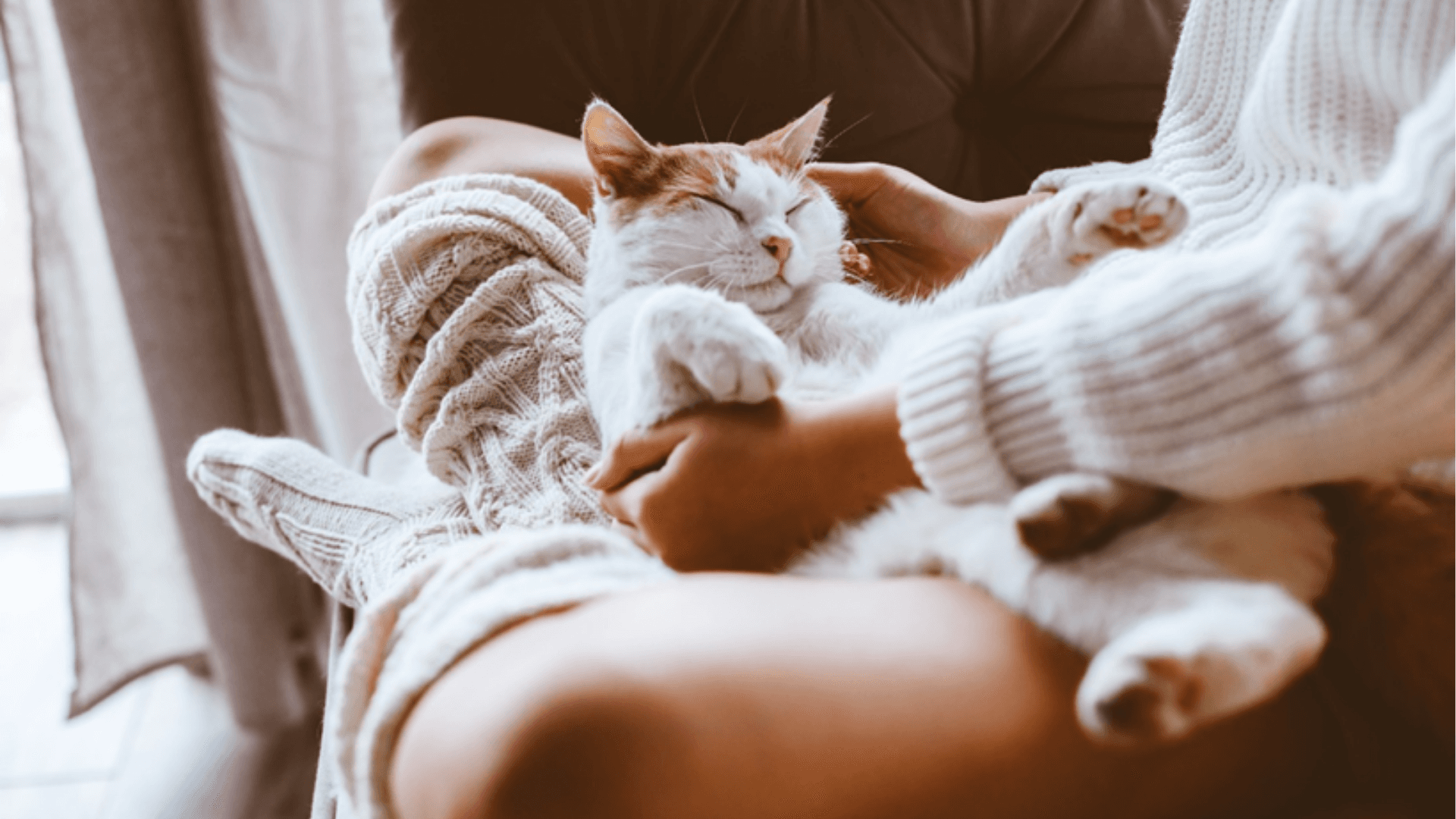 How Tenants Can Stay Warm in Winter & Cut Heating Bills