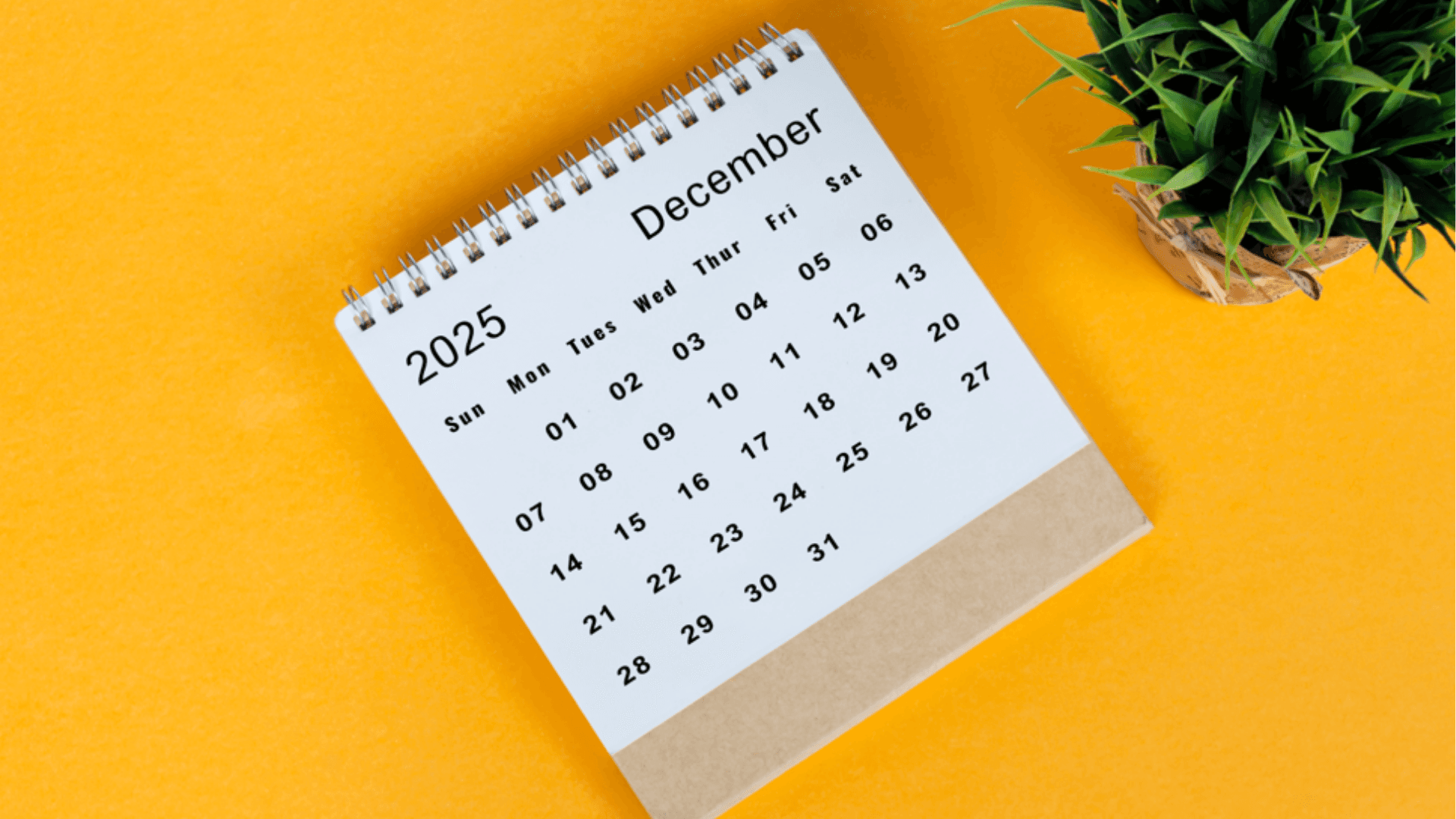 Landlord Essentials: The 2025 Rental Market