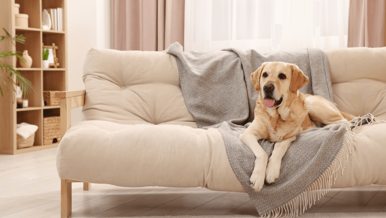 Pet-friendly properties: 26% longer tenancies, fewer voids