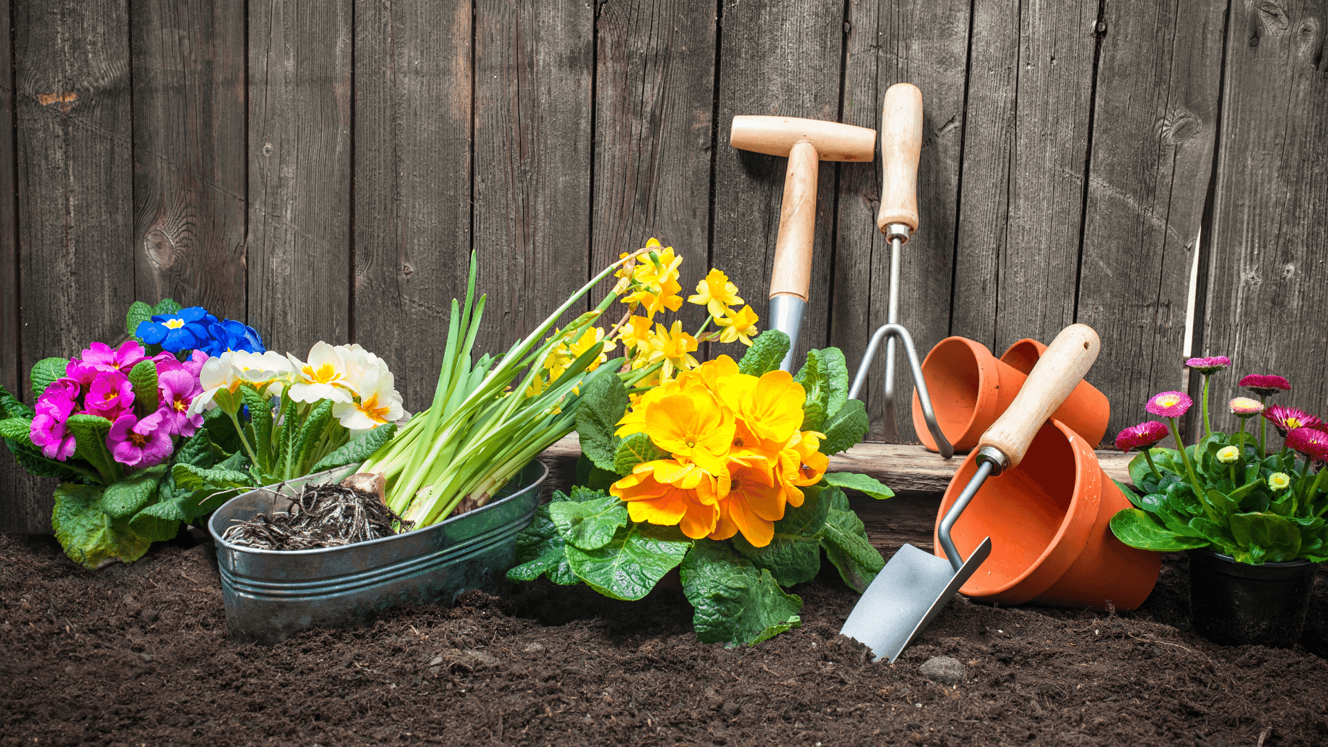 Garden etiquette for tenants this summer