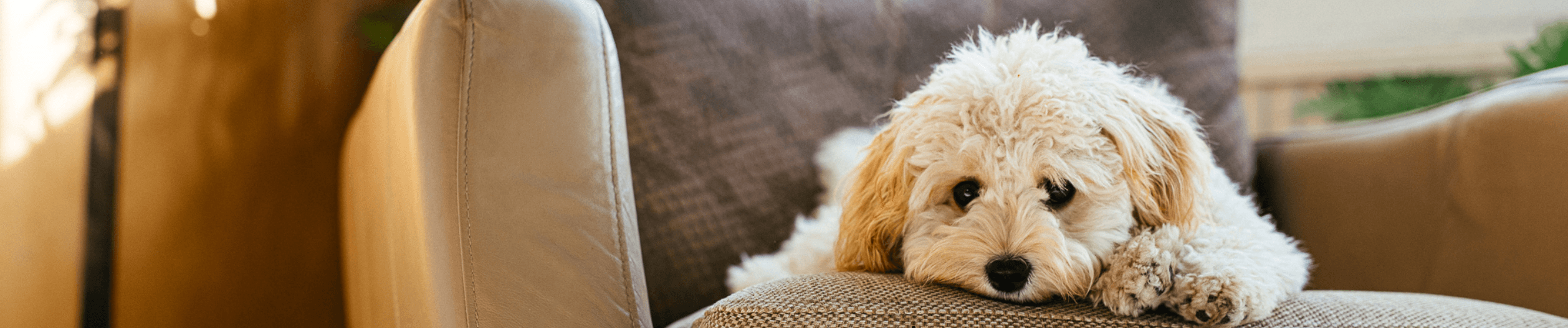 What London Tenants Want in 2025: The Must-Have Features for High Demand Rentals