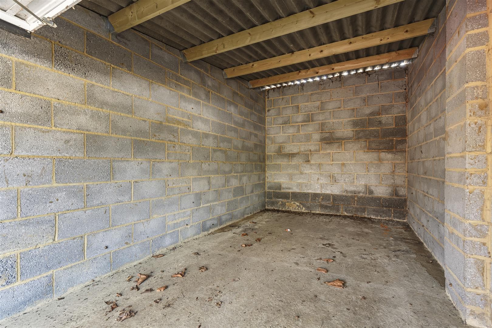 Lytton Grove, London, SW15 2EZ