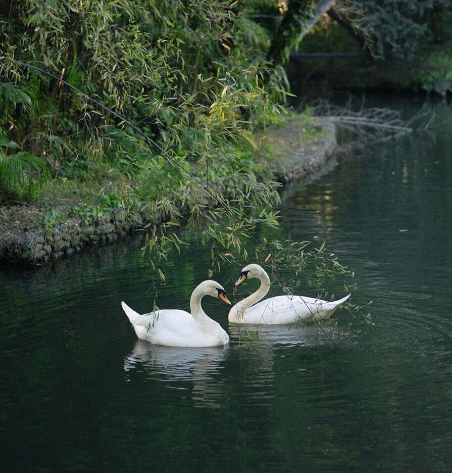 East Sheen and its own land