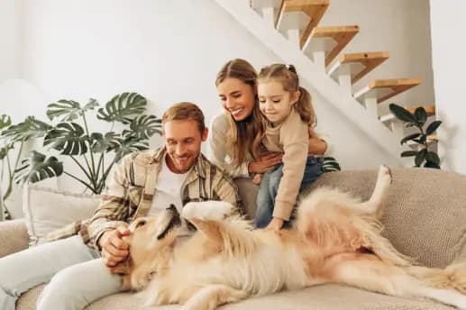 Existing Tenancies and the Renters’ Rights Act: What Changes First in 2026